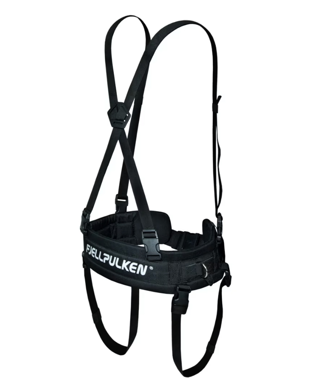 postroj k polárním saním