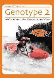 DVD Genotype 2