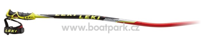 Leki WC racing GS