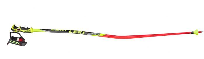 Leki WC racing GS