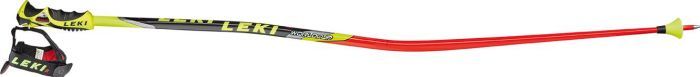 Leki WC racing GS