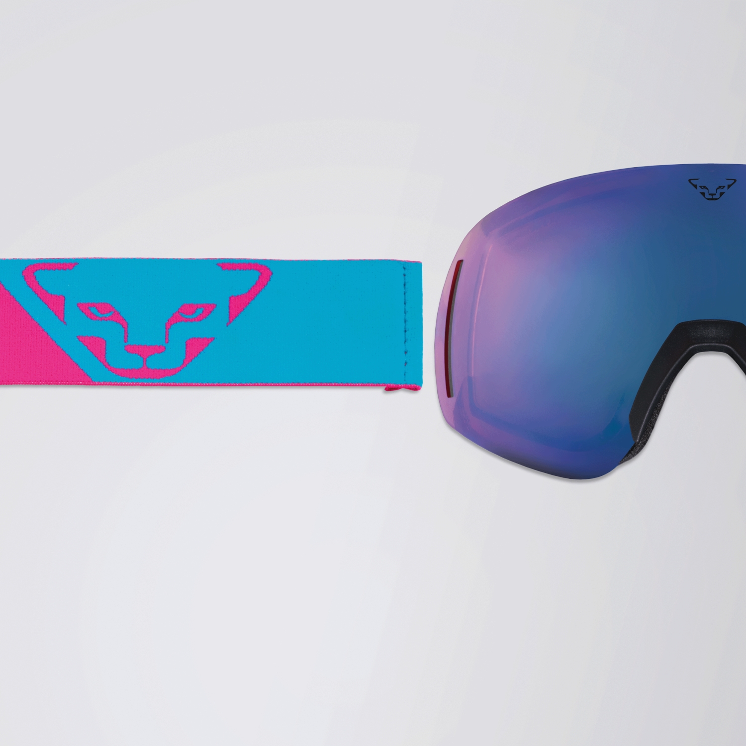 Speed Goggle_DETAIL.jpg