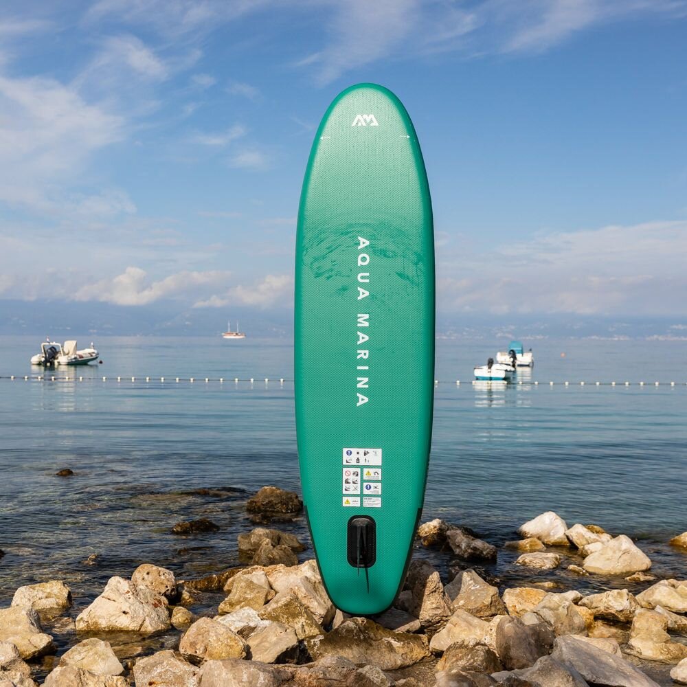 paddleboard AQUA MARINA Breeze 9'10'' SILVER TREE_back.jpg