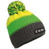 Camp Joe Beanie green